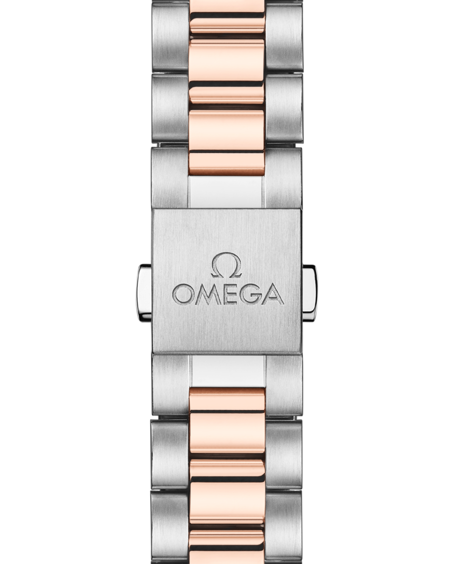 OMEGA Aqua Terra Shades 220.20.34.20.10.001 - Image 5