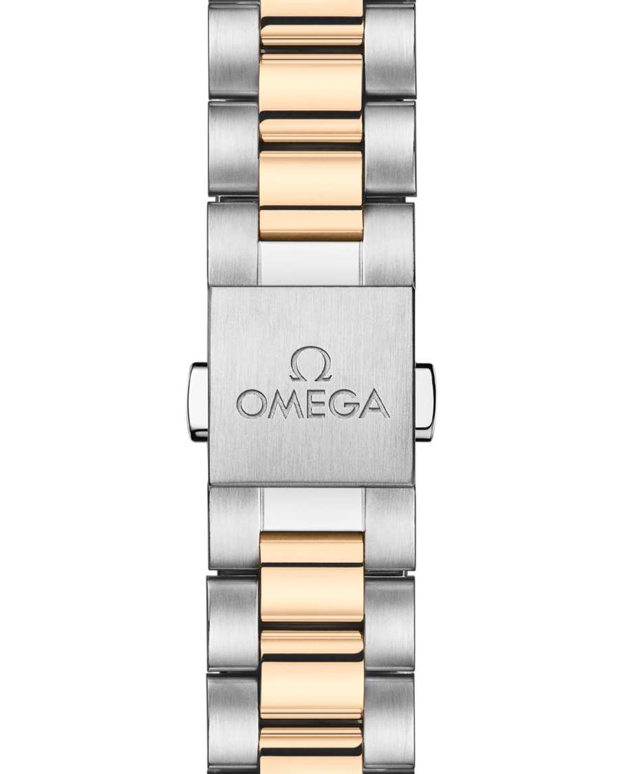 OMEGA Aqua Terra Shades 220.20.38.20.02.002 - Image 5
