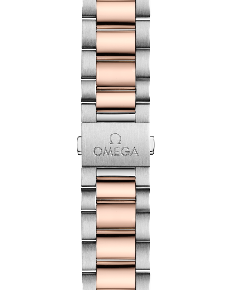 OMEGA Aqua Terra 150M 220.20.41.21.06.001 - Image 3