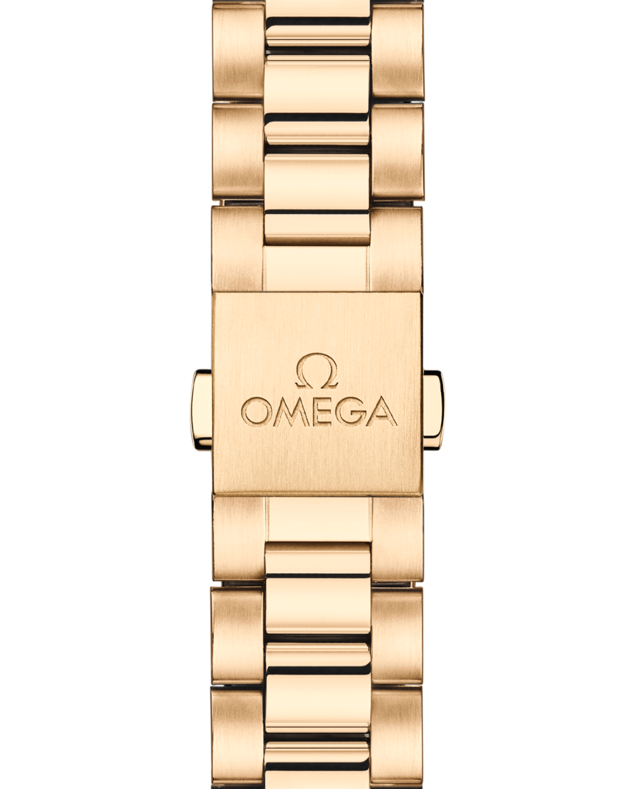 OMEGA Aqua Terra Shades 220.50.38.20.08.001 - Image 3