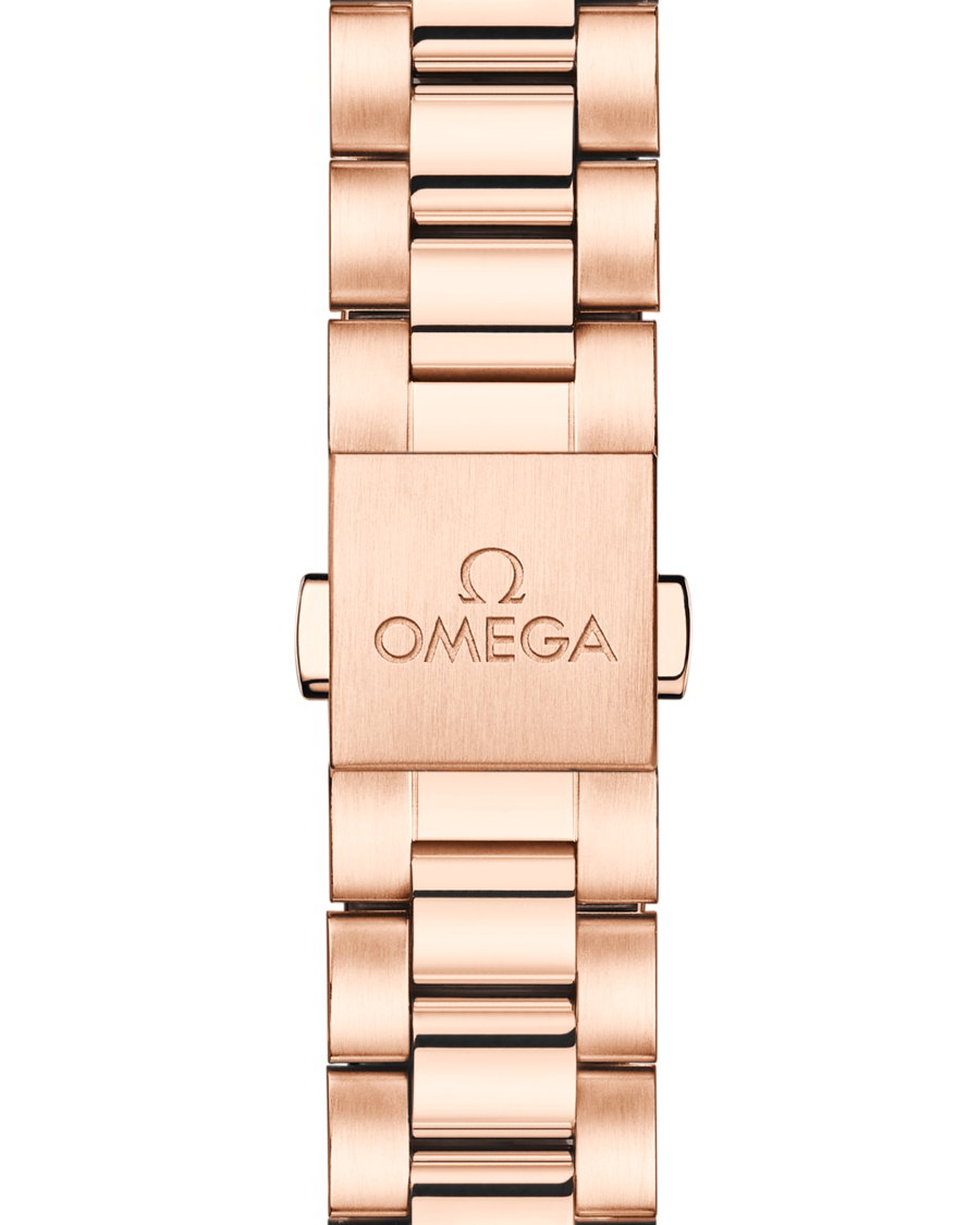 OMEGA Aqua Terra Shades 220.55.34.20.60.001 - Image 5
